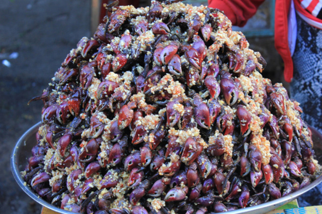 TOUR CA MAU 2 NGAY 2 DEM - HOANG KHOI TRAVEL 