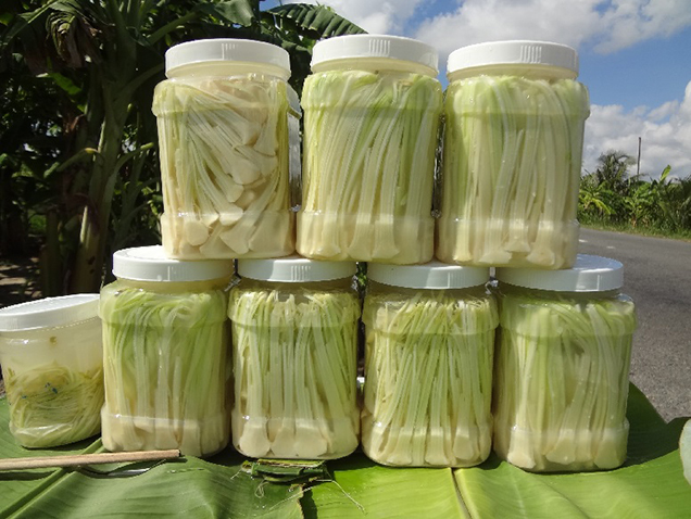 TOUR CA MAU 2 NGAY 2 DEM - HOANG KHOI TRAVEL