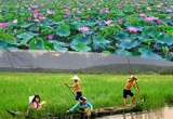 MÓN NGON ĐỒNG THÁP MÙA NƯỚC NỔI