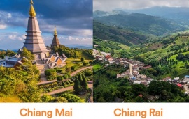 THAILAND - TLCM0403VJ | CHIANG MAI - ĐÓA HỒNG PHƯƠNG BẮC - CAFE CHOM - 4N3Đ