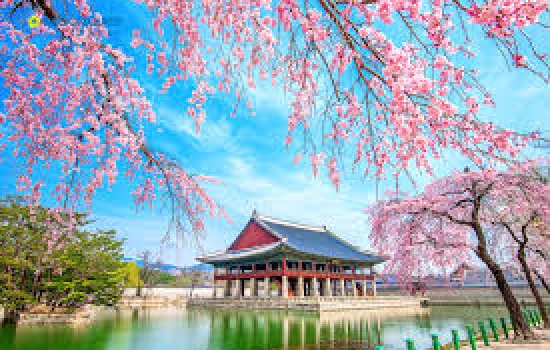 Hè này, trải nghiệm ngay cuộc sống sôi động và đầy màu sắc tại Seoul